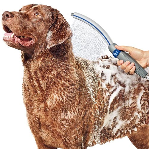 Tips for Bathing a Dog at Home Preventive Vet